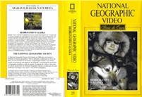 DESBRAVANDO O ALASKA 